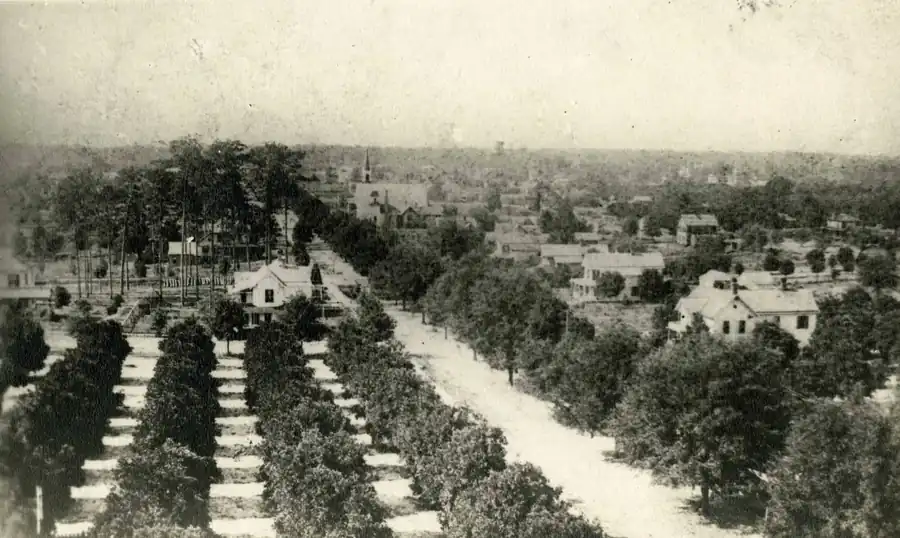 View of DeLand from the top of Elizabeth Hall
